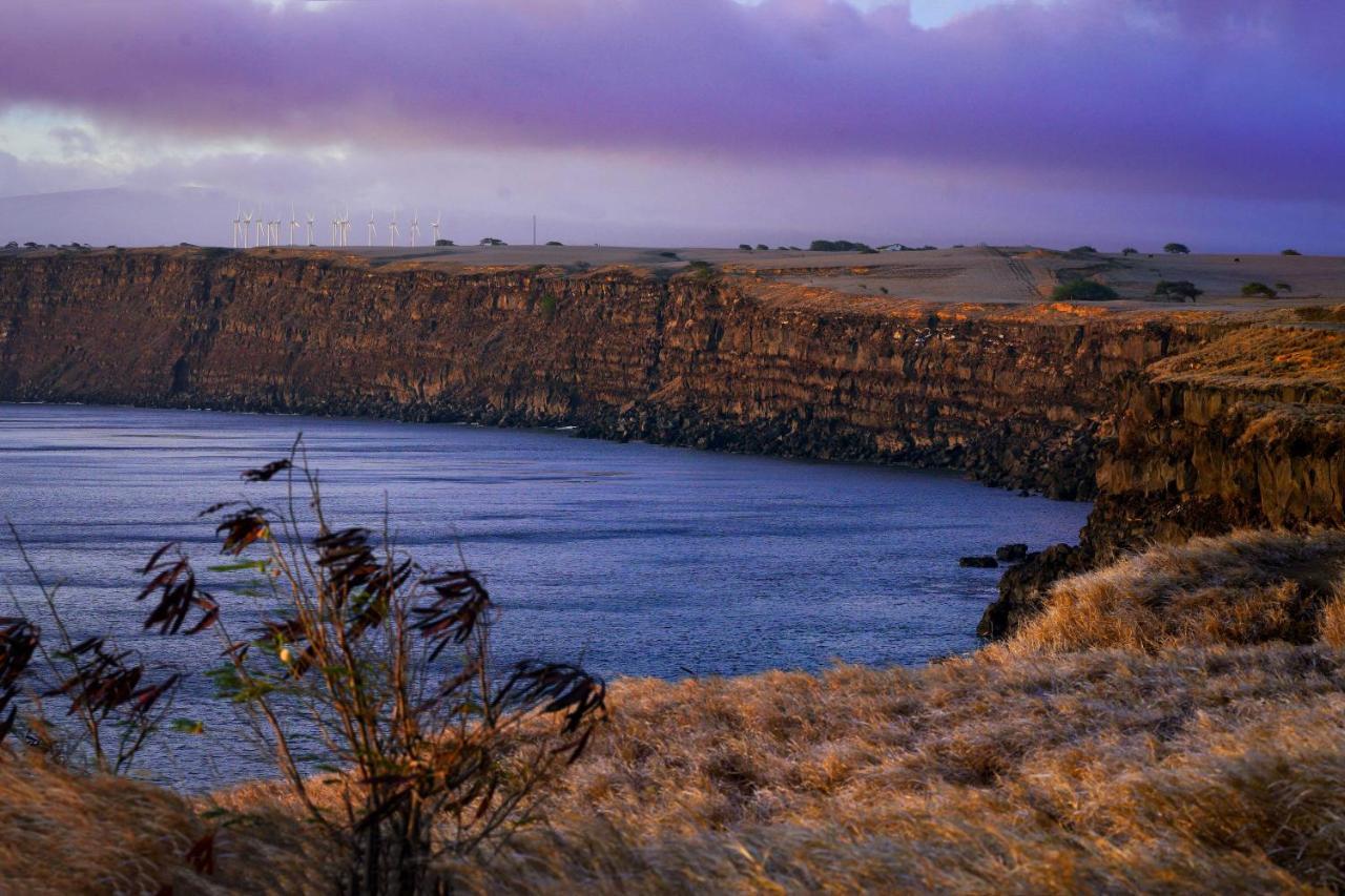 The Aloha Green House Retreat With Ocean Views! Naalehu Luaran gambar