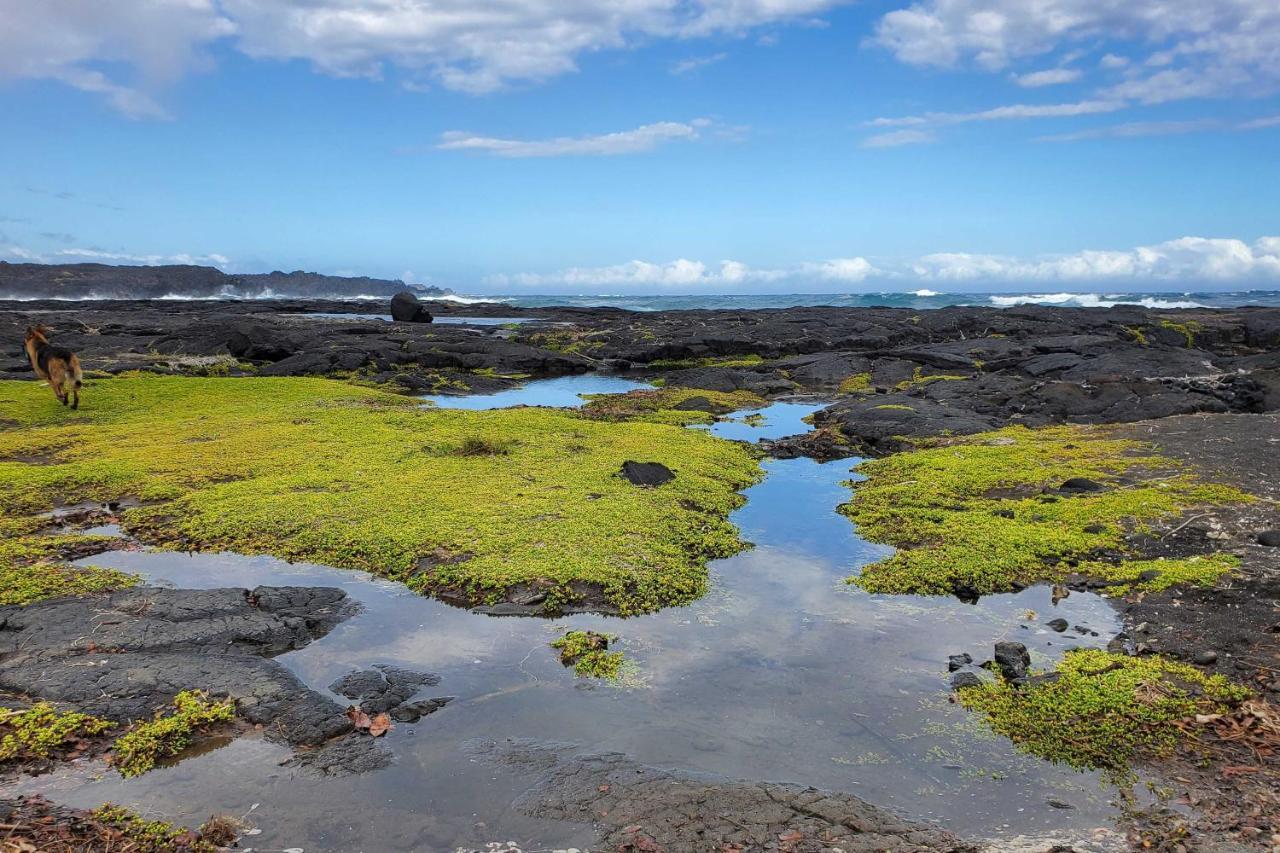 The Aloha Green House Retreat With Ocean Views! Naalehu Luaran gambar