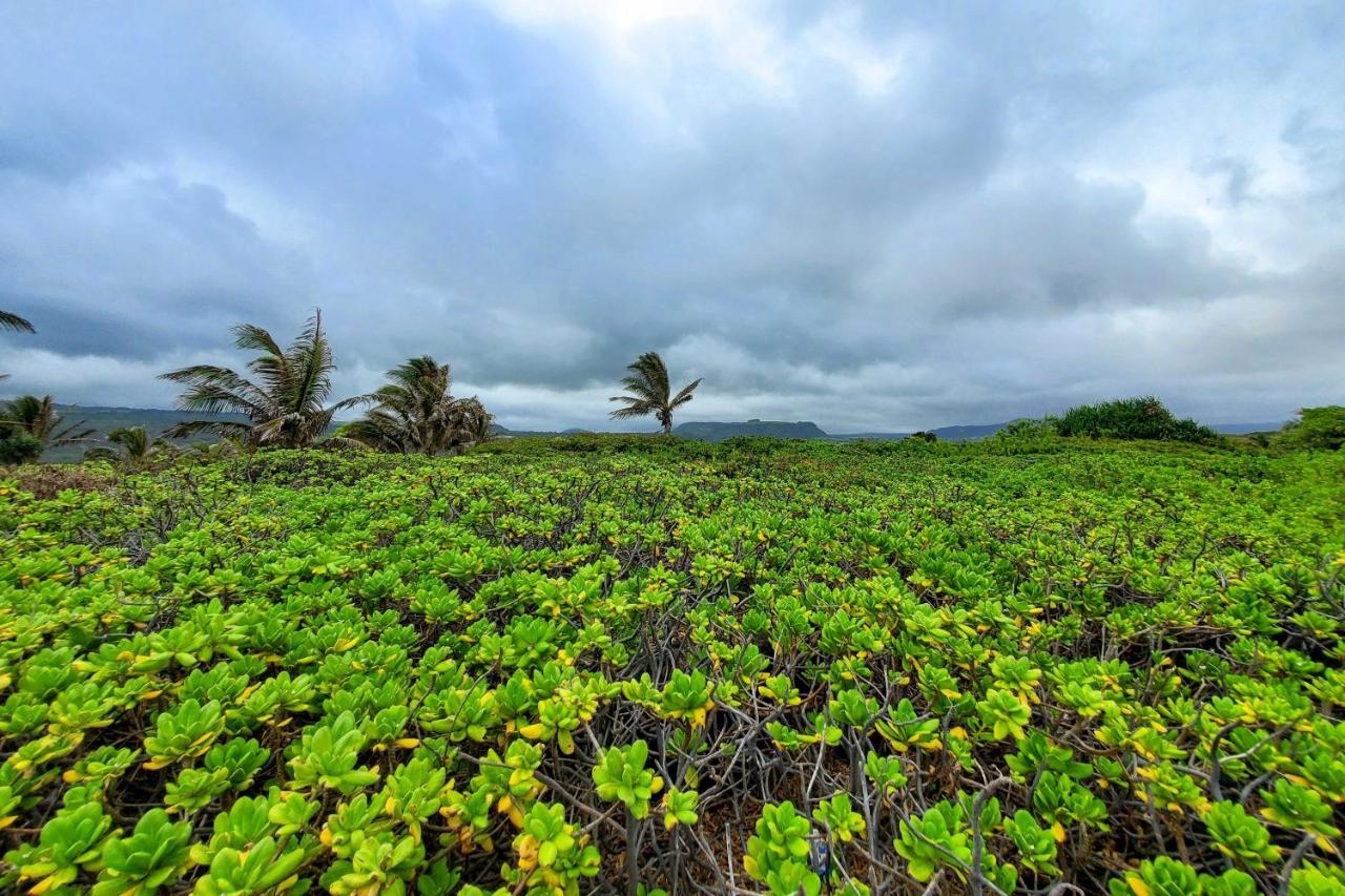 The Aloha Green House Retreat With Ocean Views! Naalehu Luaran gambar
