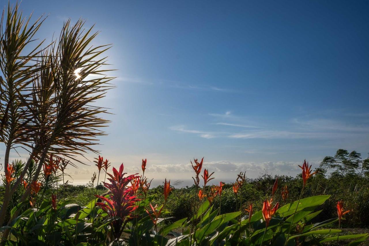 The Aloha Green House Retreat With Ocean Views! Naalehu Luaran gambar